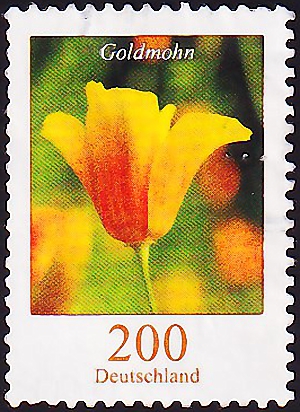  2006  .   -   .  3,60  (1)